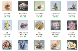 中國郵政速遞國內禮儀業(yè)務(wù)處理平臺功能界面3
